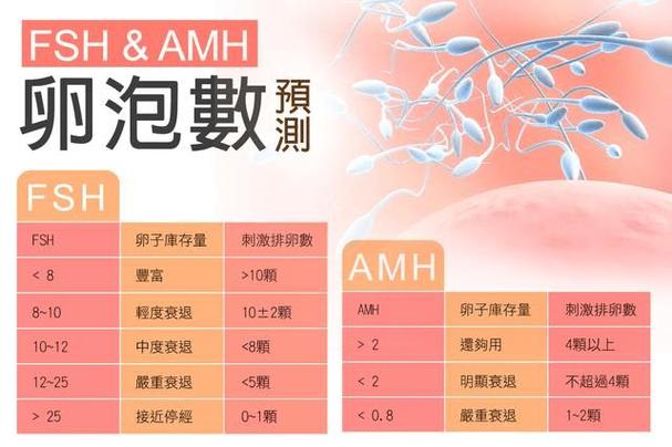 试管婴儿第二胎想要男孩可以选择吗(试管婴儿二胎可以选择性别吗)