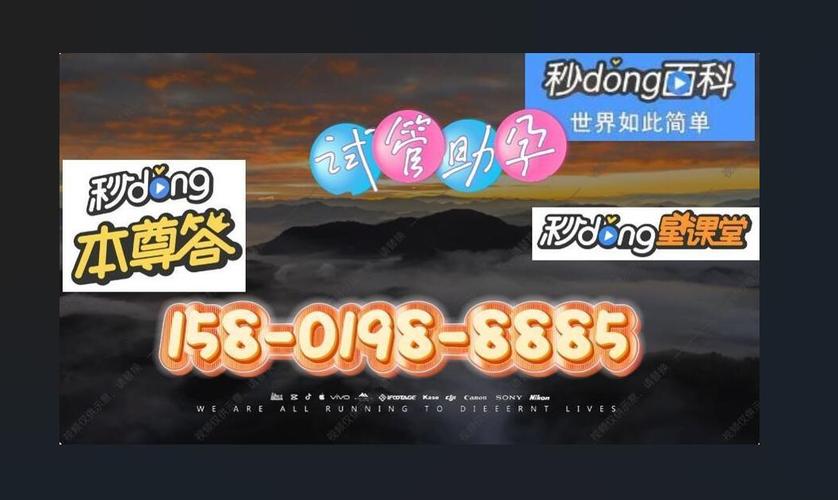 代生代怀公司-代生代怀公司：传承与创新